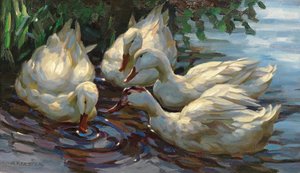 Vier Enten am Weiher